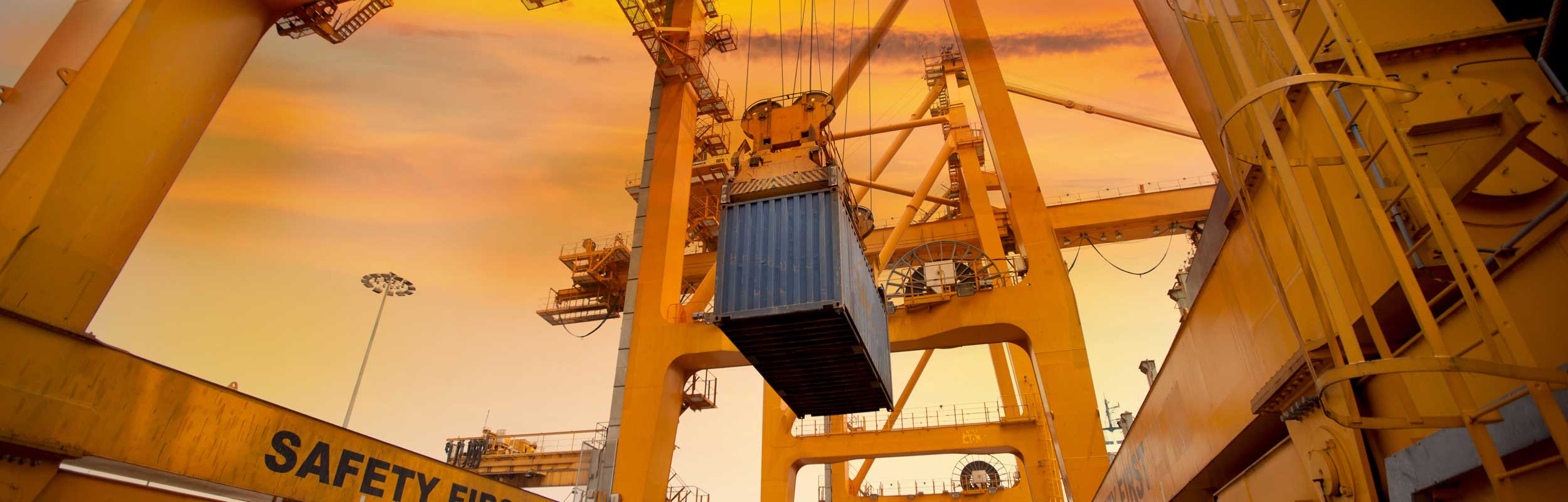 40 Years Of Excellence | Quad X Forwarders